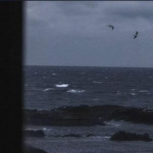 选择性回避（cover）