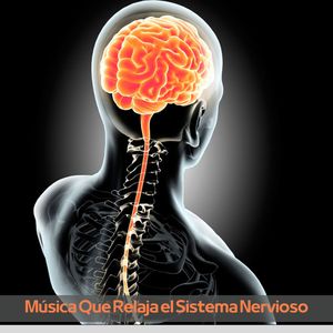 Fortalece La Memoria