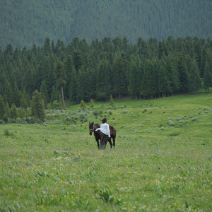 竹篮下的自然·上海当代艺术博物馆