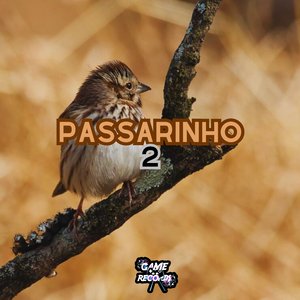 Passarinho 2