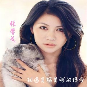 相遇是场美丽的误会