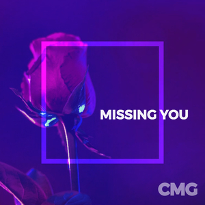 Missing You (Original Mix)