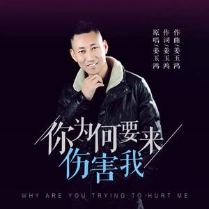 你为何要来伤害我