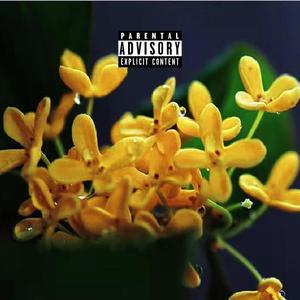 那天我在桂花树下Prod.by jeston