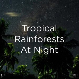 수면을위한 바다의 소리