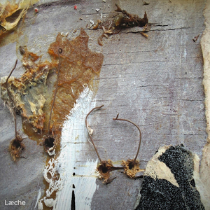 Revisionist v Fylgija Tier] 6