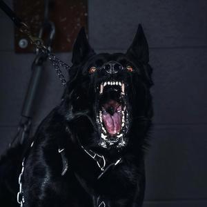 Pute 2.1（Original-K remix）