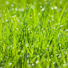 催眠下雨声-助眠音乐-下雨天钢琴曲系列之她说