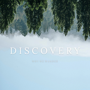 Discovery