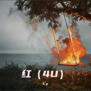 红 （4U）
