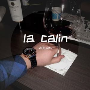 Serhat Durmus-La Câlin Rimix（ABLIKIM remix）