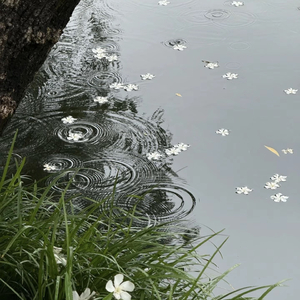 宁静是交易者的终极铠甲