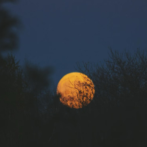 原来你什么都不想要