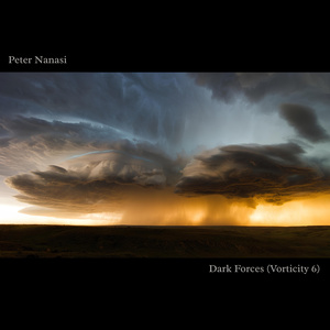 Dark Forces (Vorticity 6)