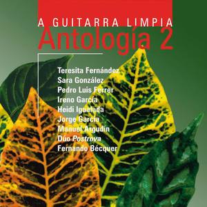 Tema a Guitarra Limpia