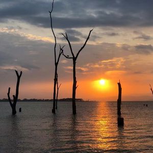 归途回首见夕阳