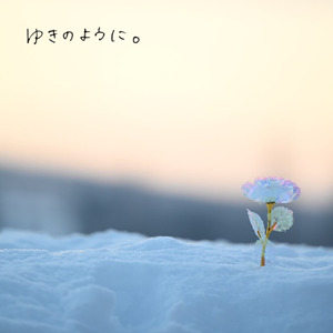 ゆきのように。