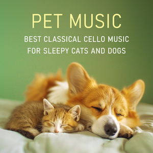 绿袖子 (钢琴、大提琴)