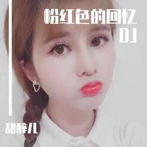 粉红的回忆DJ
