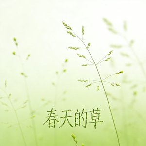 春天的草