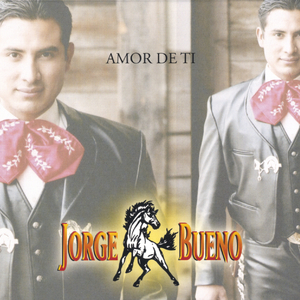 Descripcion de Amor