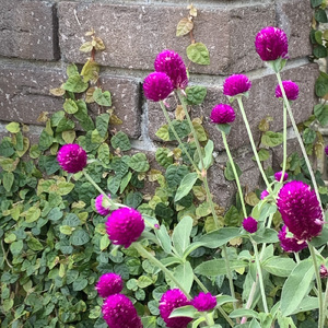 明日をあきらめないで