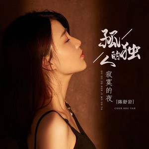 孤独的人寂寞的夜 (DJ阿卓版伴奏)