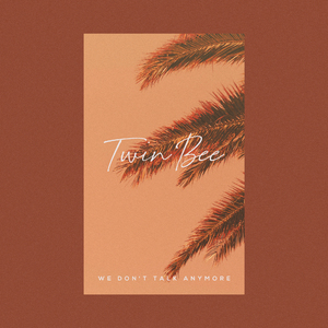 We Don't Talk Anymore