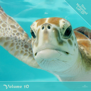 Curved (Slow Motionized Version)