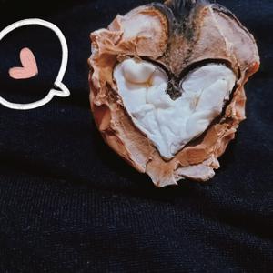 从此一个人（片段）