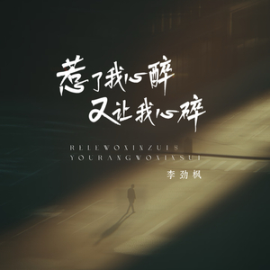 惹了我心醉又让我心碎