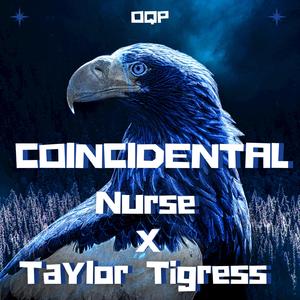 Coincidental (feat. Taylor Tigress)