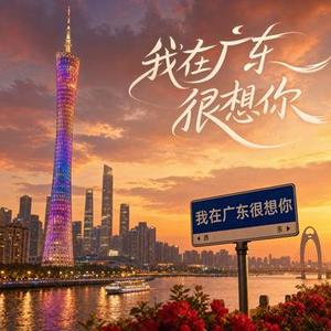 我在深圳很想你