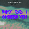 Synkro - Why Did I Choose You