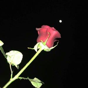 careless whisper(remix)