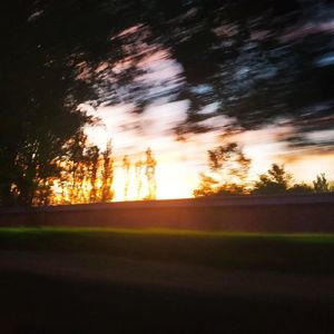 随后便是蝉鸣不止的盛夏