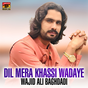 Dil Sada Khassi Wadaye