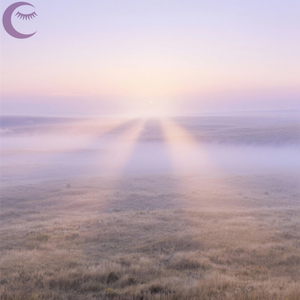 Sleep Tide