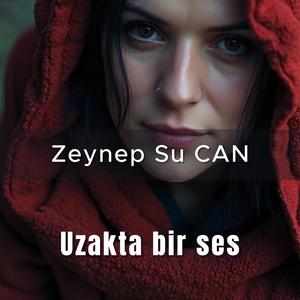 Geç Gelen Mektup