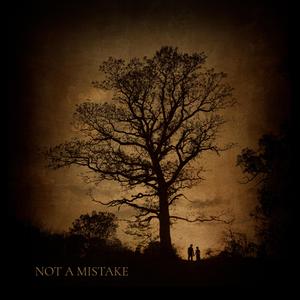 Not A Mistake