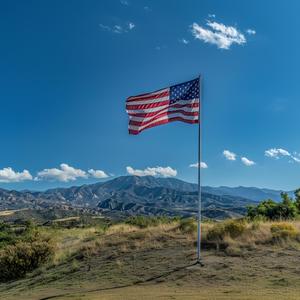 Thank you, Joe (Biden Song)