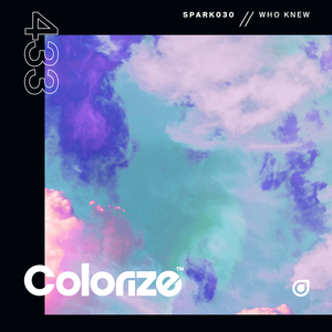 Who Knew (Extended Mix)