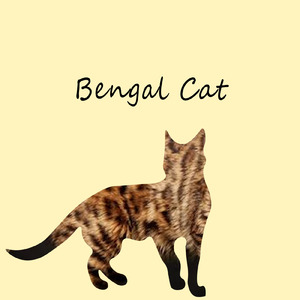 Bengal Cat