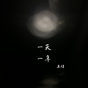 一天一年