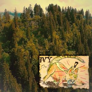 Ivy