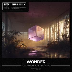 Wonder (feat. Jordan Grace)