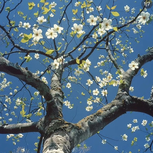 既然你已不爱我