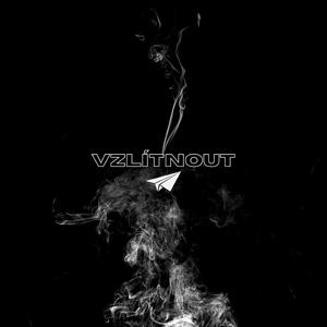Vzlítnout