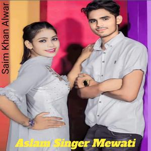Aslam Singer Mewati