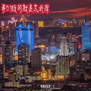 哥们玩的就是东北岸